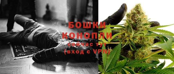 круглые Осинники