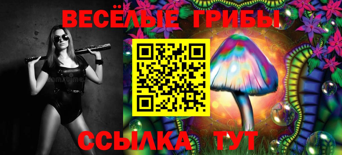 хочу   Галлюциногенные грибы Cubensis  Великий Устюг  Псилоцибиновые грибы GOLDEN TEACHER 