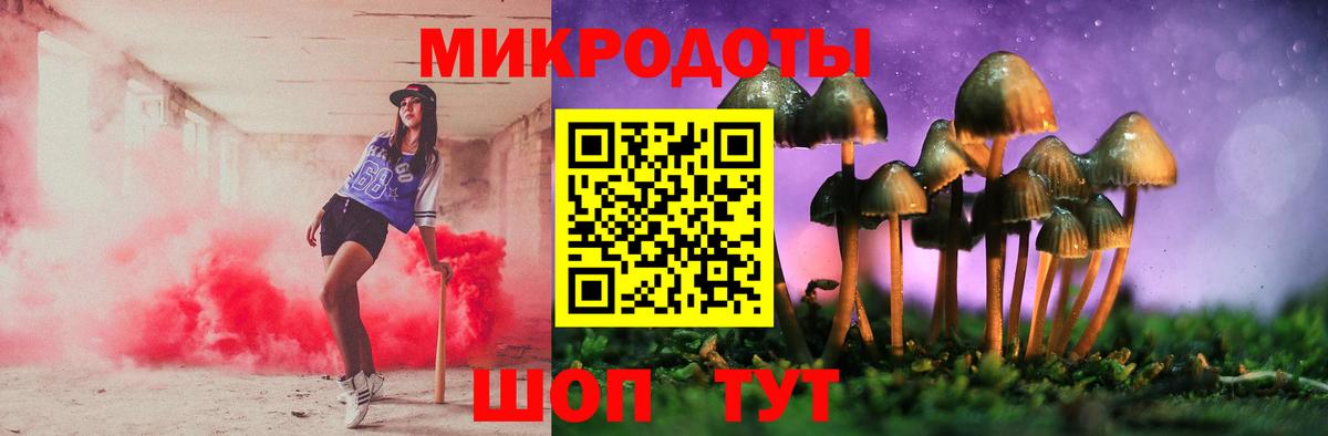 Псилоцибиновые грибы мицелий Великий Устюг