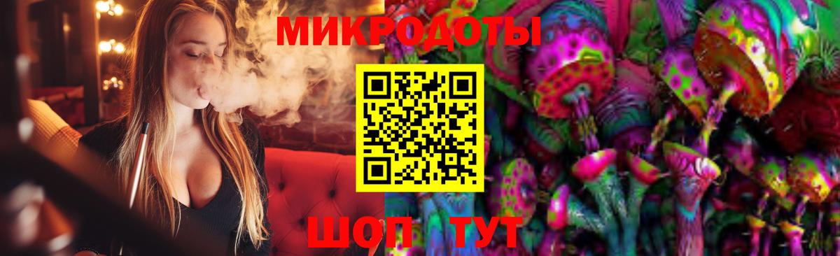 Псилоцибиновые грибы Psilocybe Великий Устюг